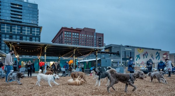 Bark Social by null
