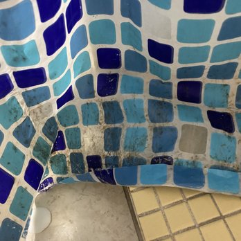 Howard Johnson by Wyndham Salem - Very mildewed and disgusting shower curtain. Looks like it was never cleaned or brushed or scrubbed. - Hotels Near Me - Salem, Oregon