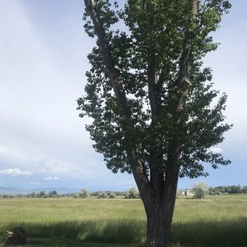 Eagle Island State Park - Parks Near Me - Eagle, Idaho Eagle Island State Park - Parks Near Me - Eagle, Idaho