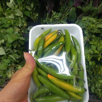 Hoa Binh Rosemead Supermarket - fresh prepackage big green chili got fly in it - International Grocery Near Me - Rosemead, California Hoa Binh Rosemead Supermarket - fresh prepackage big green chili got fly in it - International Grocery Near Me - Rosemead, California
