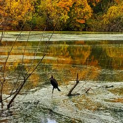 Tibbets Brooks Park - 10/26/2025