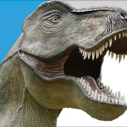 Musée des Dinosaures
