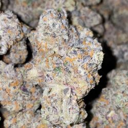 Marivana - Weed Delivery Oz