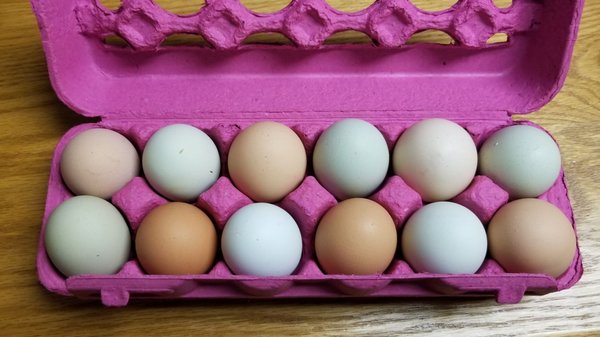 Happy Valley Chickens