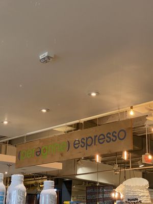 Peregrine Espresso by null