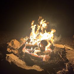 Prentice Cooper State Forest