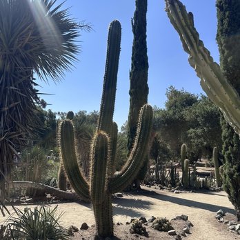 Arizona Garden - Botanical Gardens Near Me - Stanford, California Arizona Garden - Botanical Gardens Near Me - Stanford, California