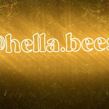 Hella Bees - Cocktail Bars Near Me - Oakland, California