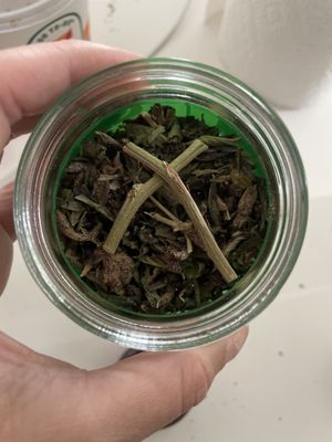 Sunnyside Cannabis Dispensary - Wrigleyville by null