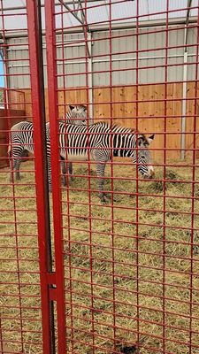 Goebbert's Farm Pingree Grove by null