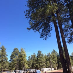 Flying Horse Ranch Rental Home - Go for a walk, jog, or run on the Flagstaff Urban trail adjacent The Flying Horse Ranch!
