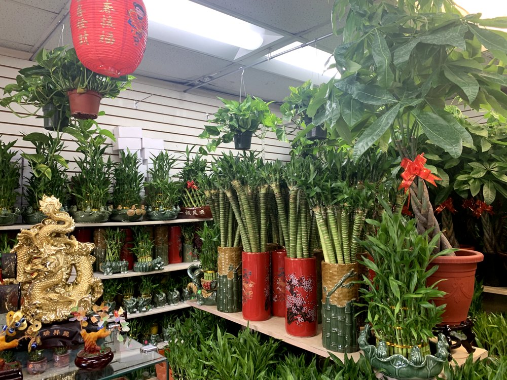 PRECIOUS COLLECTION Updated August 2024 833 N Broadway, Los Angeles