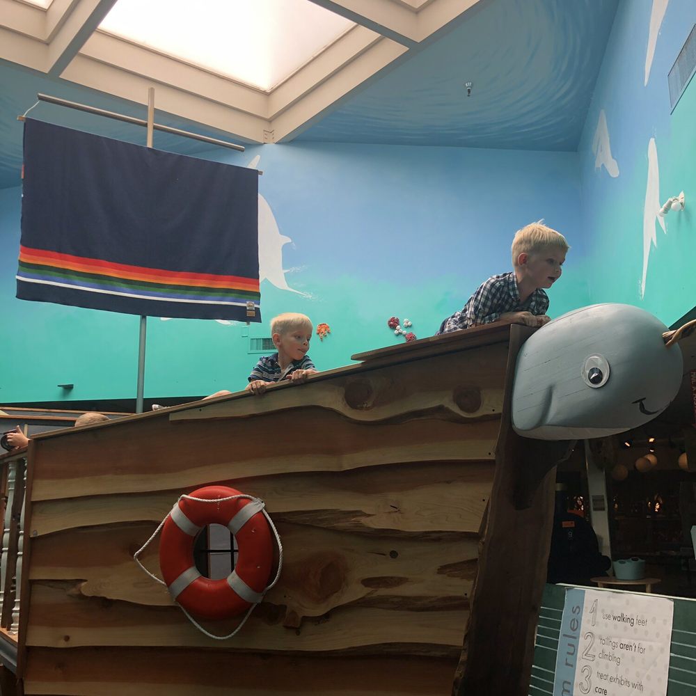 Adventure Children's Museum - Children's Museums Near Me - Eugene, Oregon Adventure Children's Museum - Children's Museums Near Me - Eugene, Oregon