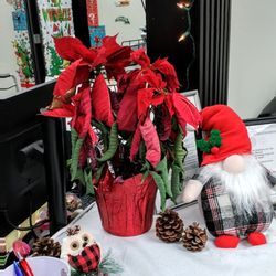 Optima Medical - Peoria - Nice to decorate, but water the living plant please