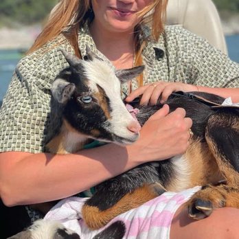 The Party Goat - Boating Near Me - Austin, Texas The Party Goat - Boating Near Me - Austin, Texas