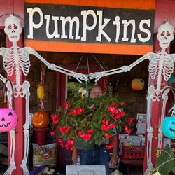 P & J's Plantiques - Meet Patrick enjoying the planets, pumpkins & decor
