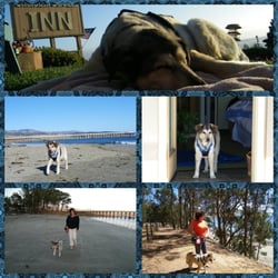 You and Your Pets Best Friend