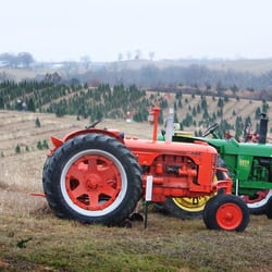 Fulk's Tree Farm - Antique tractors