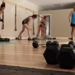 Level6 Training