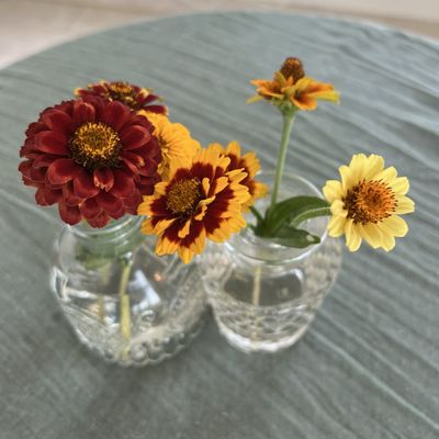 Locavore Farm by null