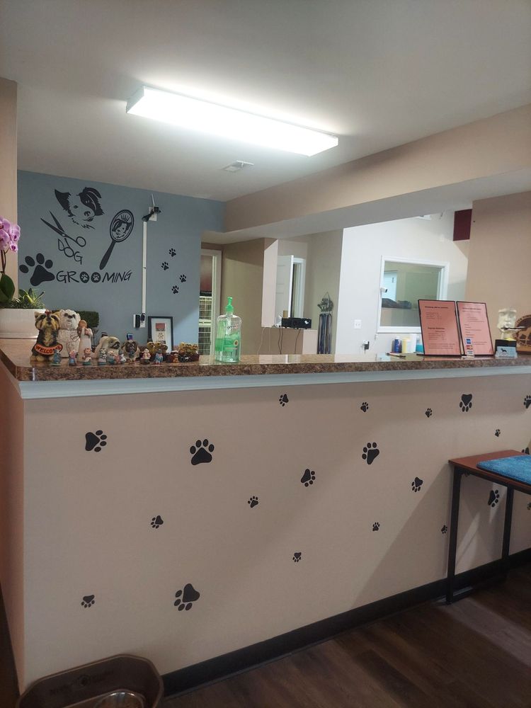 JOANNA’S PET SALON Updated August 2024 118 Photos 23264 By The
