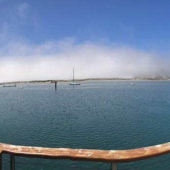 Hofbrau - The view !! - Sandwiches Near Me - Morro Bay, California Hofbrau - The view !! - Sandwiches Near Me - Morro Bay, California