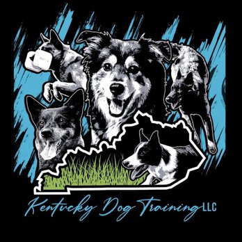 Kentucky Dog Training - Pet Training Near Me - Louisville, Kentucky Kentucky Dog Training - Pet Training Near Me - Louisville, Kentucky