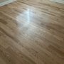 Photo of Carter Quality Hardwood Flooring