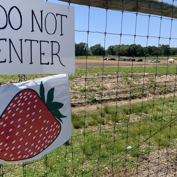 Rose’s Berry Farm - Mixed messages - Farms Near Me - Glastonbury, Connecticut