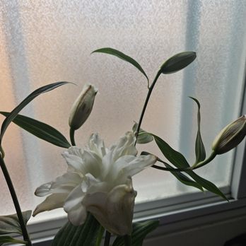 Flowerboy Project - Double lillies. They smell amazing but they were a little brown. Don't really mind tho because they are for me. - Cafes Near Me - Venice, California