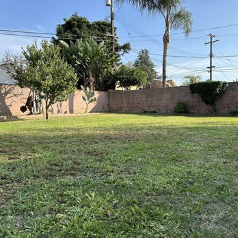 Sanchez Irrigation  - Mowed lawn - Irrigation Near Me