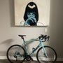 Trek Bicycle North County