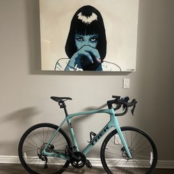 Trek Bicycle North County - Domane SL5