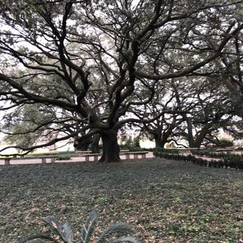 Whitney Plantation - Live oak - Museums Near Me - Wallace, Louisiana Whitney Plantation - Live oak - Museums Near Me - Wallace, Louisiana