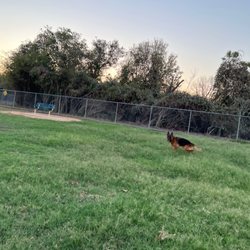 Fort Woof Dog Park