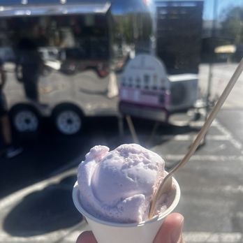 Cream Bean Berry - Lavender Honey ice cream. - Ice Cream & Frozen Yogurt Near Me - Durango, Colorado