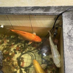 Super World Buffet