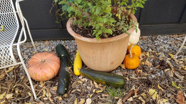 Stone Soup Farm & Heritage Orchard by null
