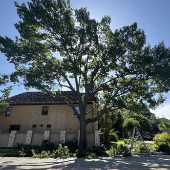 Green Image Tree Service - Tree Services Near Me Green Image Tree Service - Tree Services Near Me