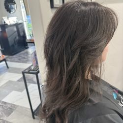 Picasso Salon  Elizabeth's Salon - Dimension colors long layers