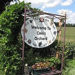 Cain's Orchard