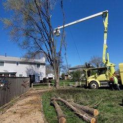 Angeles Tree Services