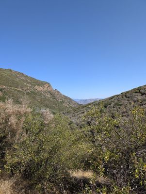 Noble Canyon Trailhead by null