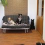 Photo of Great Companions
