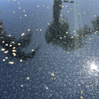 Pleasanton Hand Car Wash - Sap all over car! - Car Wash Near Me - Pleasanton, California Pleasanton Hand Car Wash - Sap all over car! - Car Wash Near Me - Pleasanton, California
