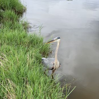Eufaula National Wildlife Refuge - Parks Near Me - Eufaula, Alabama
