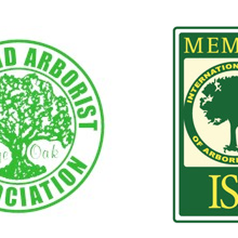 Appalachian Tree Service - the logo of the appalachian arboring association - Tree Services Near Me