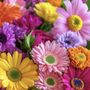 Photo of La Bonita Flowers