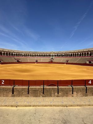 Plaza de Toros de la Real Maestranza de Caballería de Sevilla by null