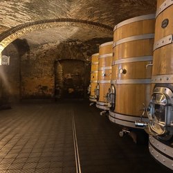 Ceretto Aziende Vitivinicole